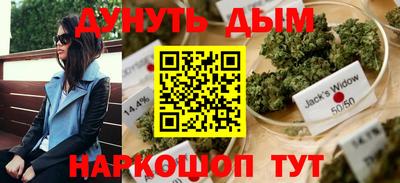 спиды Камышлов