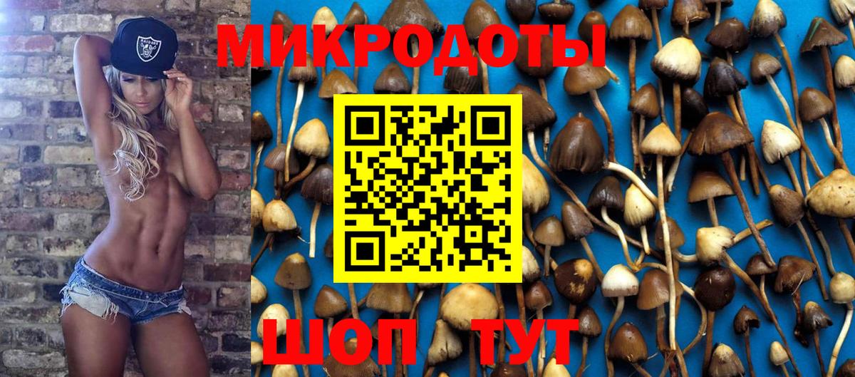 Галлюциногенные грибы Magic Shrooms Крымск