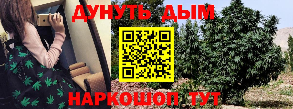 Канабис сатива  Бошки Шишки план  Крымск  Вход с VPN 